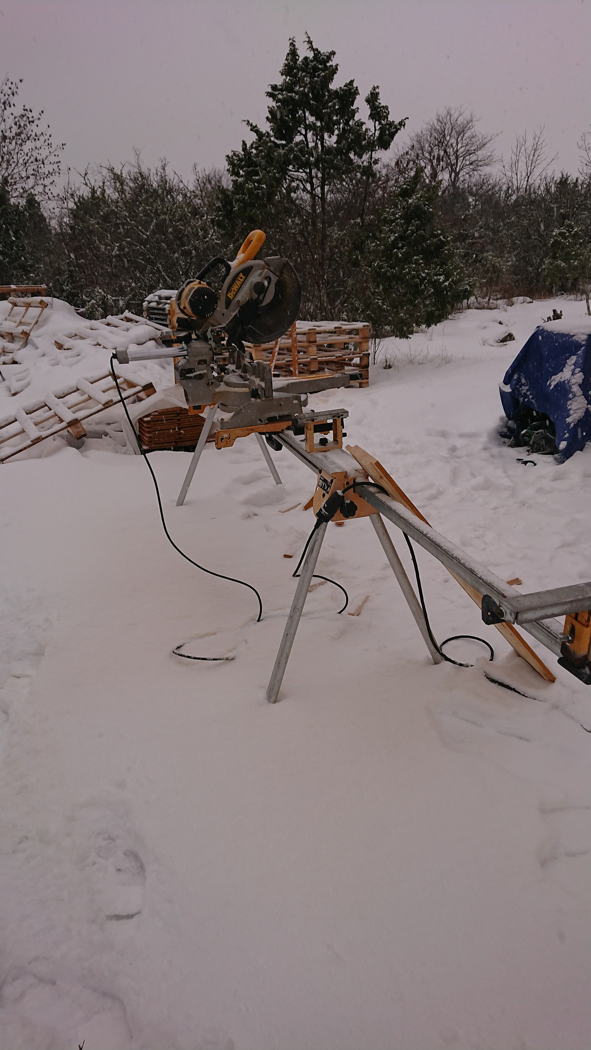 En såg med fötterna i snön